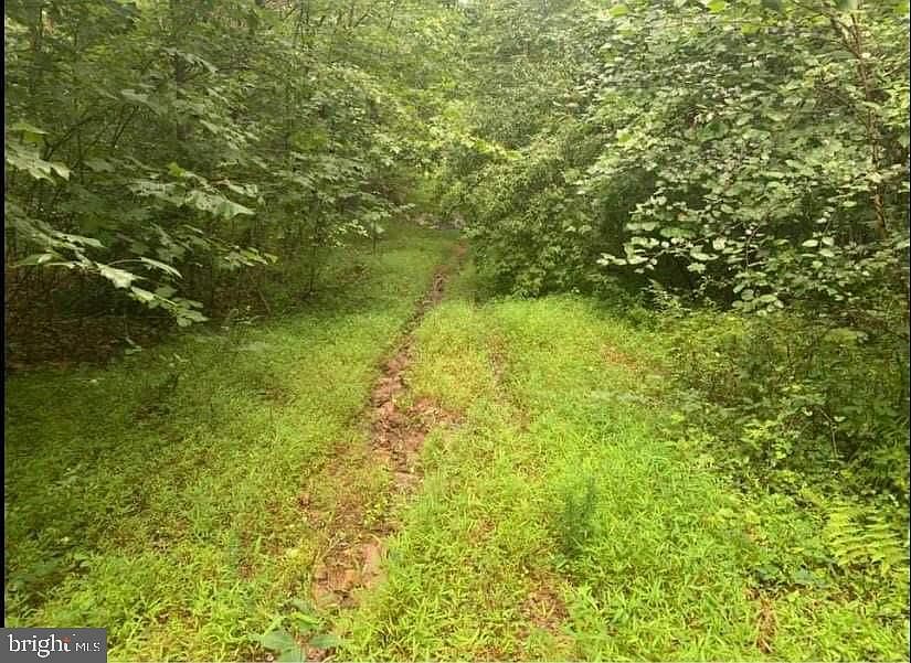 1st image of Lee Hwy