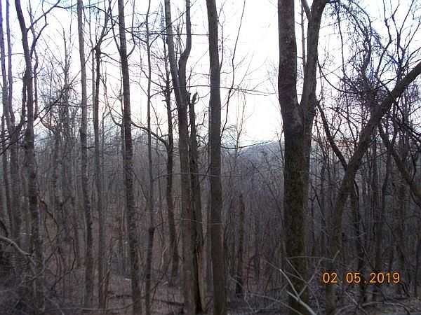 2nd image of LOT 3D Locust Peg Rd