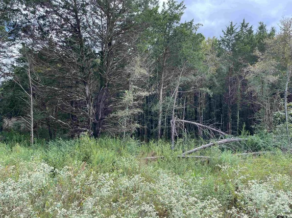 19421 Cedarpark Pl Lot 28, Lindale, TX 75771