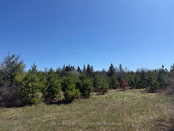 5th image of 3115 Paden Rd
