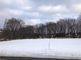 1233 Oak Tree Rd, Akron, OH 44320