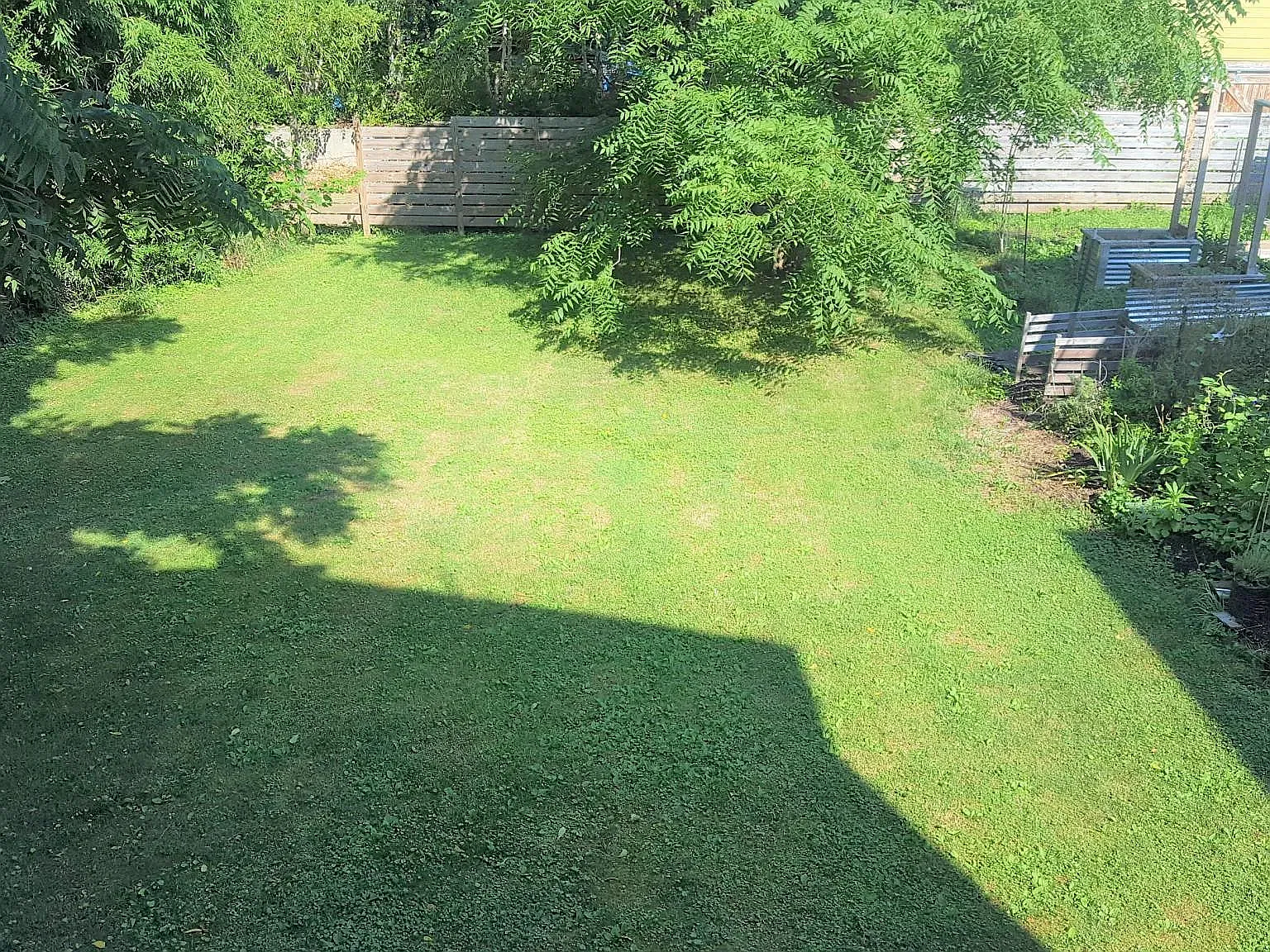 1 bed, 750 sqft, $1,650 — Photo 4