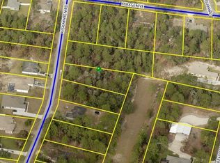 11244 Kiska Wren Rd, Weeki Wachee, FL 34614