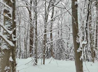 812 Cider Mountain Rd #1, Warren, VT 05674