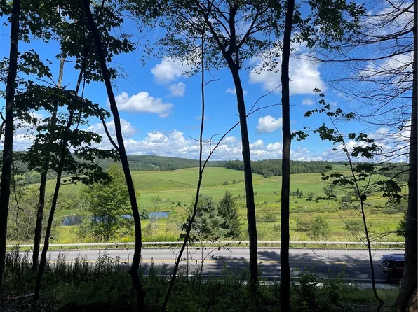 (undisclosed Address), Delhi, NY 13753