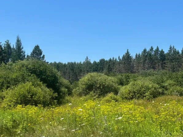 E Simmons Rd, Hessel, MI 49745