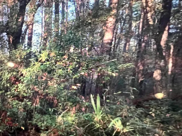 0000 NW 165TH Place, Alachua, FL 32615