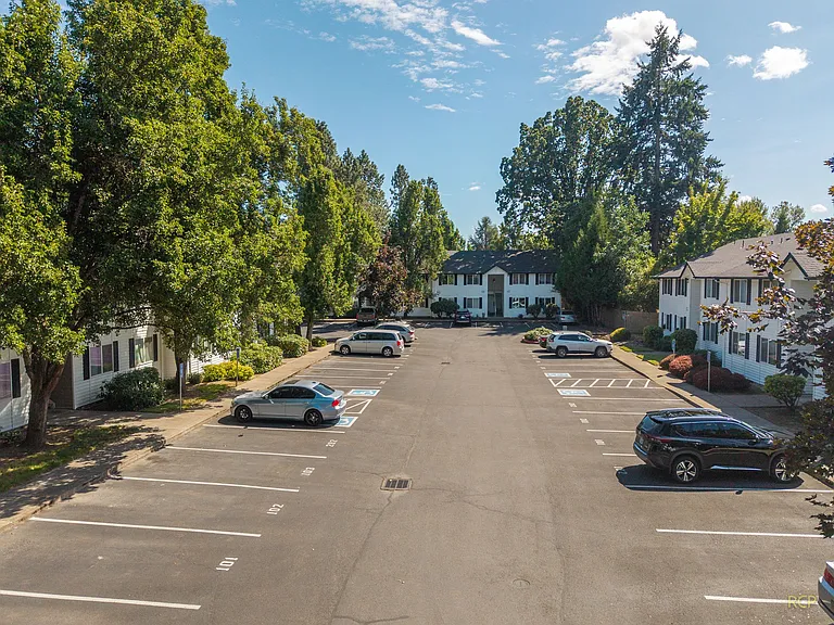 Bluebird Keizer — Photo 16