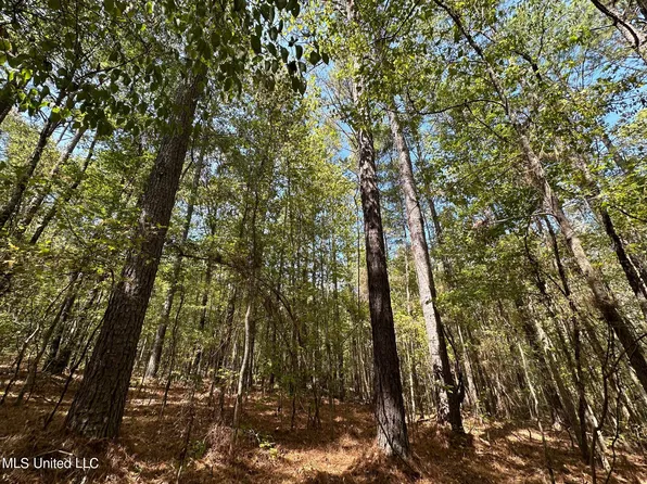 1 Whalen Rd, Carthage, MS 39051