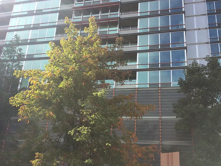 800 Elgin Rd #1204 — Photo 2