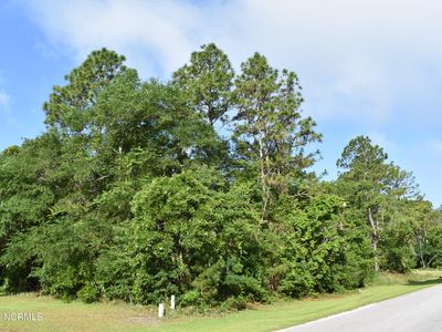 Lot 14 Phillips Drive, Arapahoe, NC, 28510
