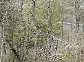 2nd image of Canada Drive