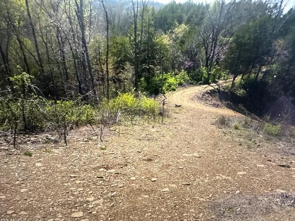 Parton Holw, Sevierville, TN 37876