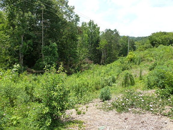 5th image of 5500 Highway 321 N