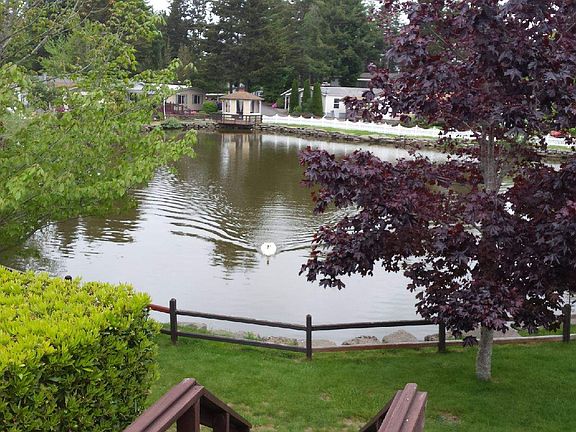 Pond view