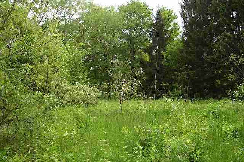4th image of 58 BROOKVIEW Avenue