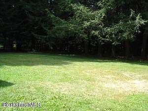 Large Private Backyard