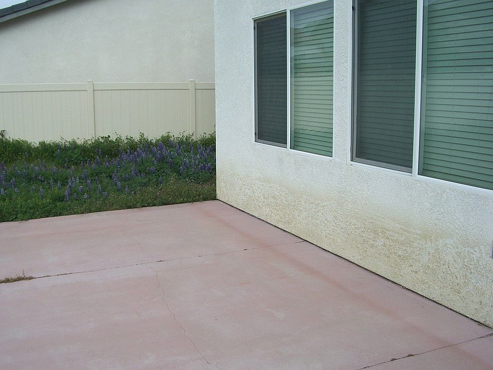 Back Patio