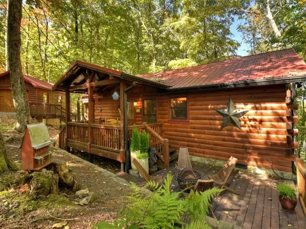 9 Joanna Ct, Cherry Log, GA 30522