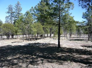 4763 Stallion Rd, Happy Jack, AZ 86024