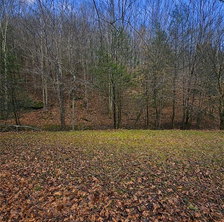 1st image of 709 Cicerone Rd