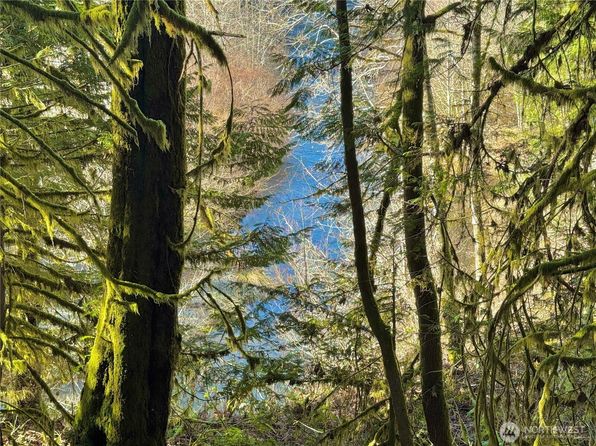 2124 NE Holly Dewatto Road, Tahuya, WA 98588