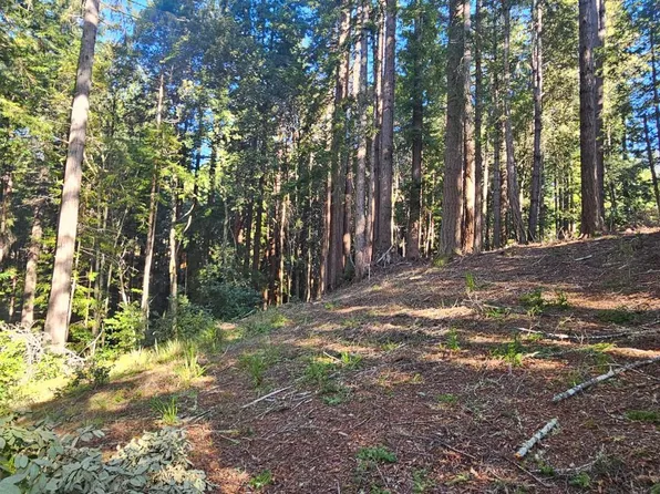22107 Ruoff Road, Timber Cove, CA 95450
