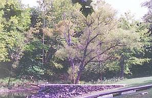 2nd image of Lake Dr #6