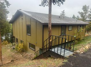 74 Alpine Dr, Nederland, CO 80466
