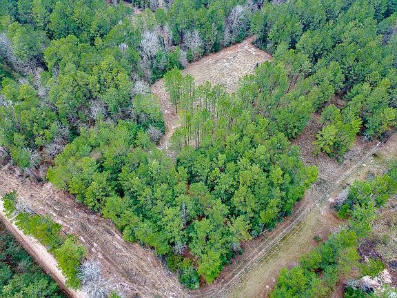 2nd image of 209 Joskey Dykes Rd