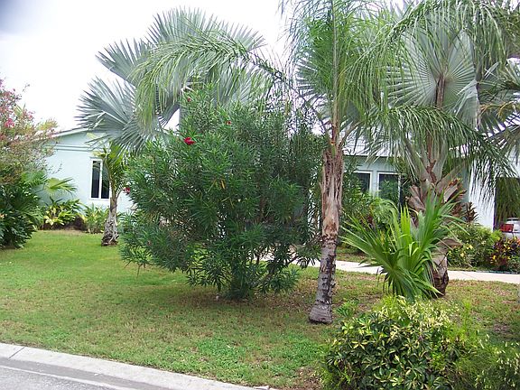 Street view of home