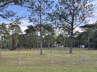 14528 Roxane Dr, Orlando, FL 32832