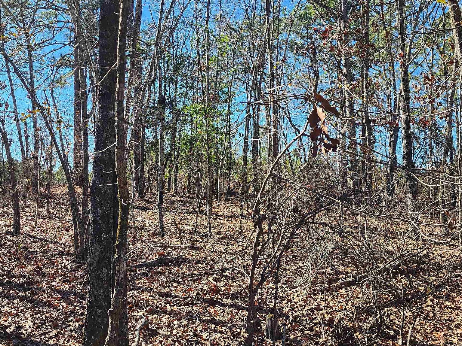 20 Ridgecrest Ct, Saint Matthews, SC 29135 MLS 556556 Zillow