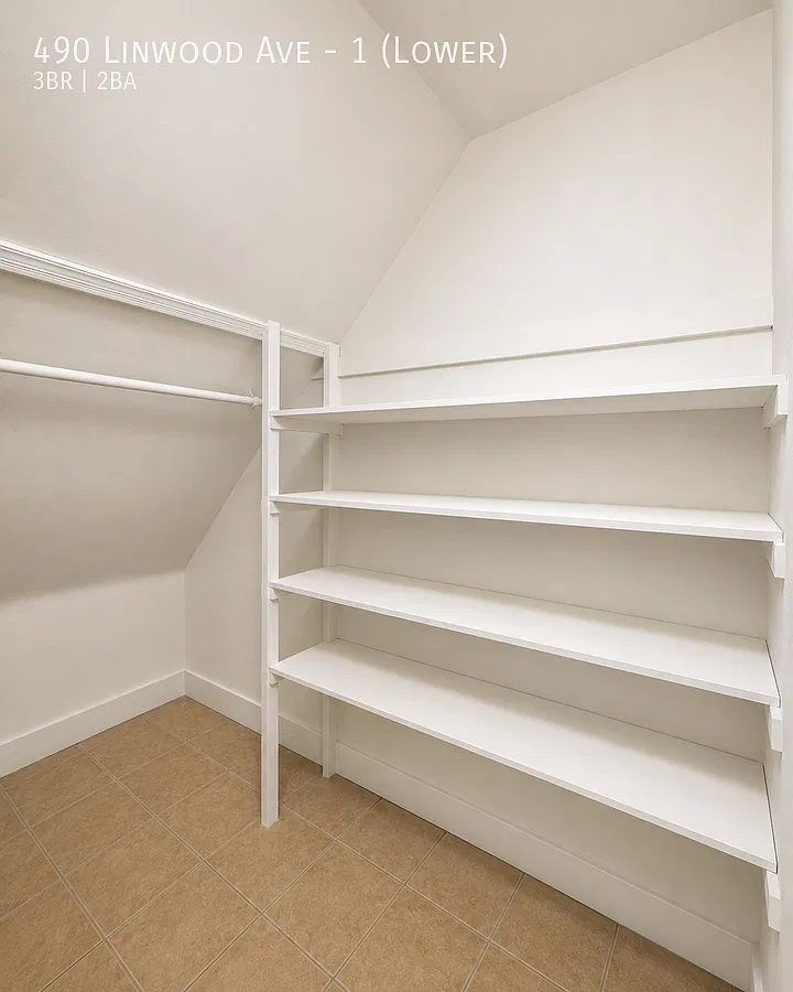 Impressive Elmwood lower-level 3-bedroom, 1.5-bath apartment with 1,500 square feet of living space — Photo 4