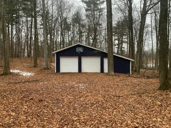 4378 S Johnson Rd, Gowen, MI 49326