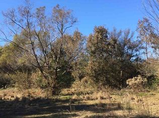 121 Hawkins Thompson Ln, Canton, MS 39046