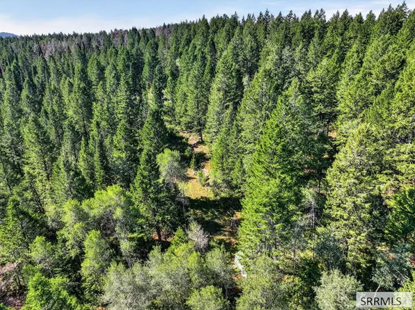 Coyote Run, Lava Hot Springs, ID 83246