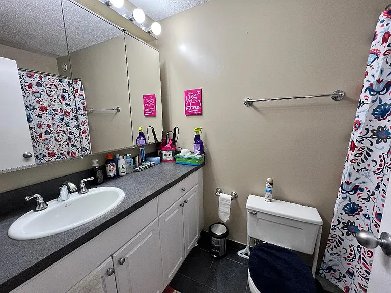 10 E Ontario St #2809 — Photo 5