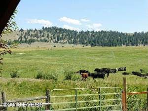 Neighbor runs cattle.