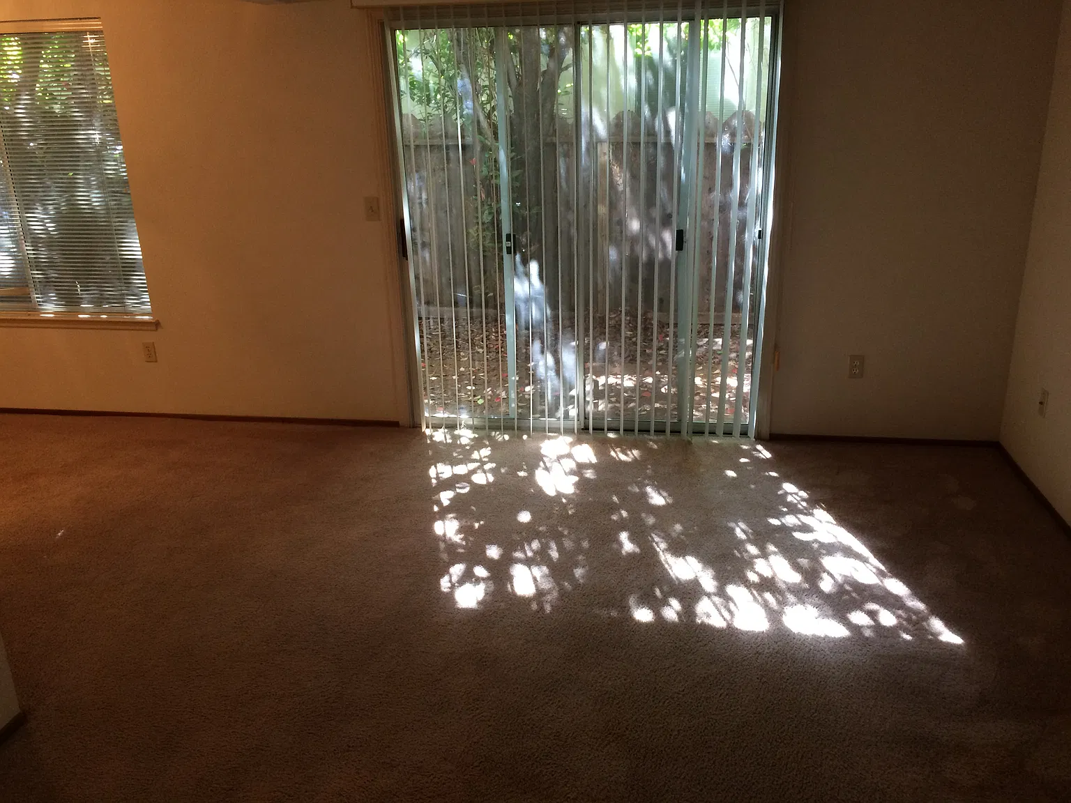 2 bed, 1.5 bath, 1100 sqft, $1,550 — Photo 3