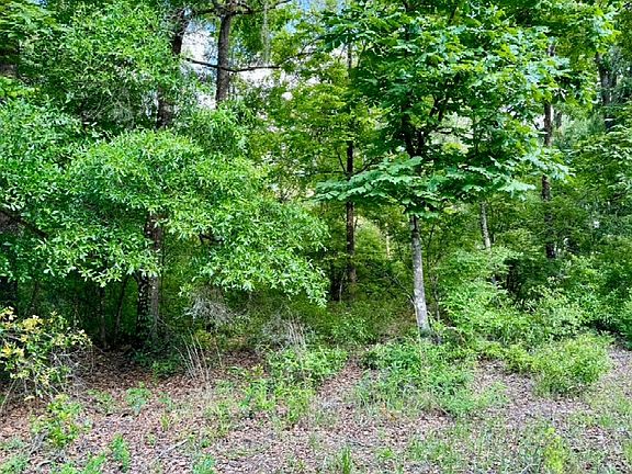 3rd image of LOT 3 NW Southern Oak Ter #3