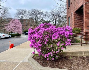 51 John St APT 201, Brookline, MA, 02446