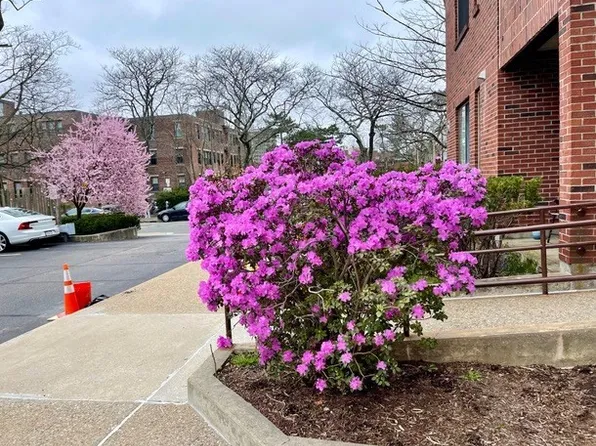 51 John St APT 201, Brookline, MA 02446