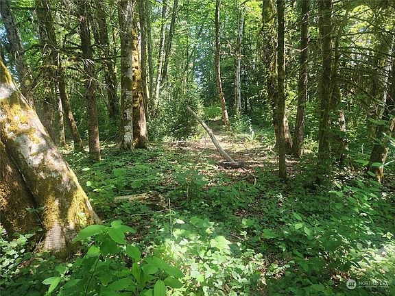 3rd image of 0 LOT NE Old Belfair Highway