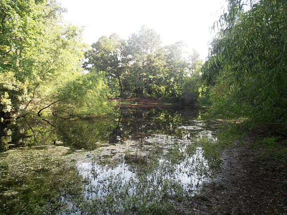3rd image of 1099 An County Road 137
