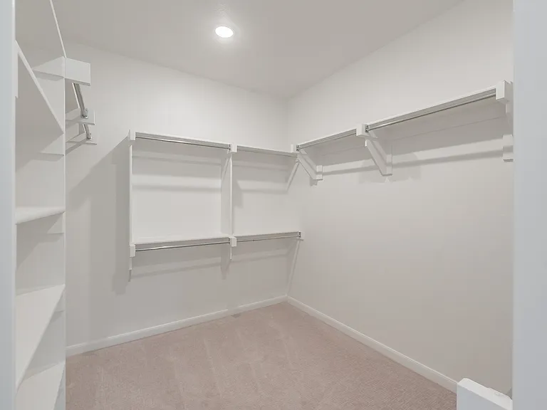 Master walk-in closet