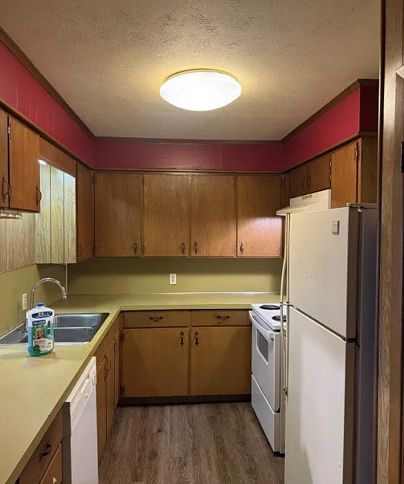 2 bed, 1.0 bath, $800 — Photo 2