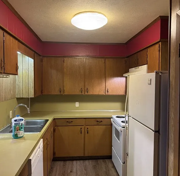 801 Calvin St #D — Photo 2