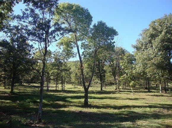 1st image of 16 S 4296th Rd Lot 16