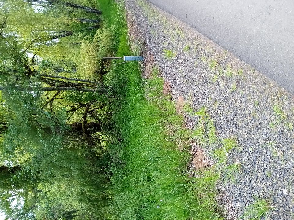 61 Taylors Ferry Rd, Elma, WA 98541 Zillow